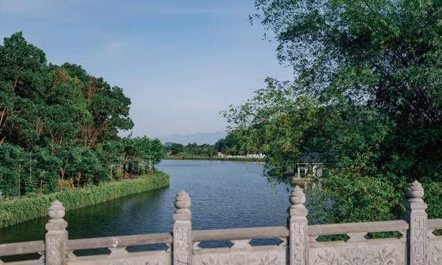 Như một vì tinh tú