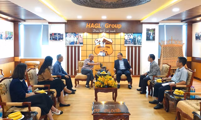 Chủ tịch UBND tỉnh Gia Lai thăm làm việc với Tập đoàn HAGL