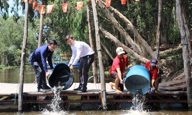 Hơn 20 tấn cá đồng các loại đã được nhà đầu tư thả về rừng tràm Trà Sư