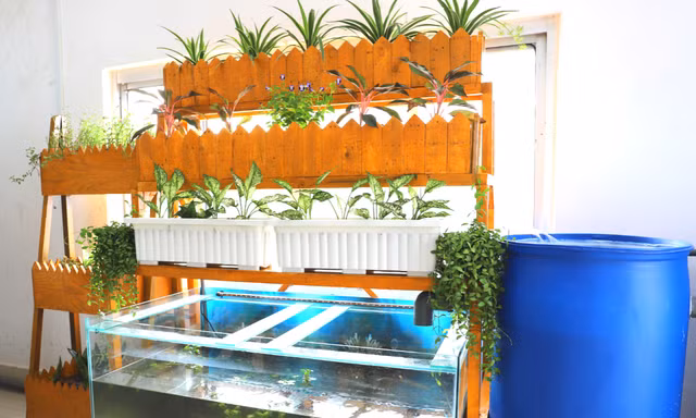 Giải pháp xây dựng môi trường làm việc trong lành cho nhân viên