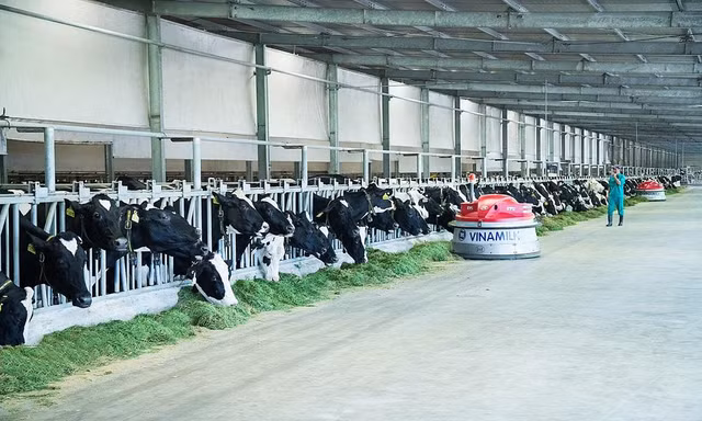 Vinamilk ra mắt hệ thống trang trại sinh thái Vinamilk Green Farm