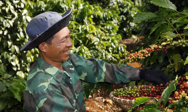Nestlé công bố kế hoạch NESCAFÉ Plan 2030