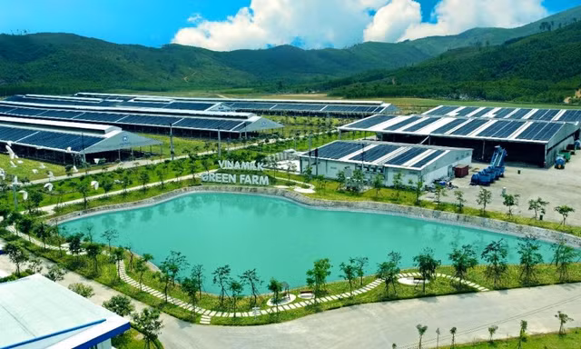 Vinamilk được nhận giải thưởng quốc tế cho những nỗ lực thúc đẩy CSR và ESG tại Việt Nam