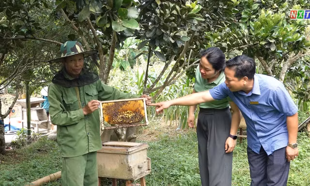 Thanh Hóa: Nỗ lực thoát nghèo ở huyện Như Xuân