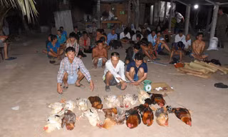 Công an đột kích điểm đá gà ăn tiền, bắt giữ hàng chục đối tượng