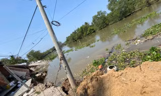 Sạt lở đê nghiêm trọng