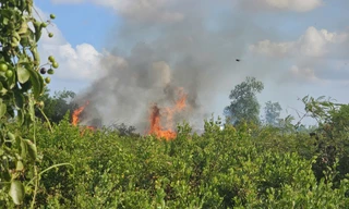 Đốt cỏ gây cháy lớn ở Cần Thơ