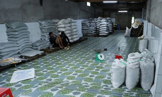 Kiểm tra cửa hàng vật tư nông nghiệp, thu giữ hàng chục tấn phân bón không phép