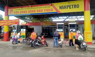 Đề nghị tước giấy phép kinh doanh của Dầu khí Nam Sông Hậu