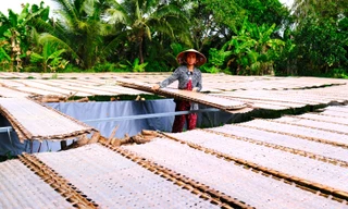 Làng bánh tráng 200 năm tất bật vào vụ Tết