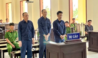 Cựu Chủ tịch, Tổng Giám đốc Công ty CP Xây dựng hạ tầng KCN Cần Thơ lĩnh án