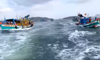 Vụ tàu cá '3 không' quây lực lượng chức năng: Tỉnh An Giang chỉ đạo xử lý