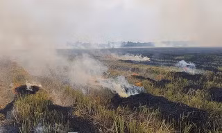 Tử vong do ngạt khói khi đốt rơm rạ ngoài đồng