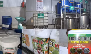 Lập 4 công ty để phục vụ hoạt động làm phân bón giả quy mô lớn