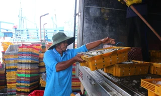 Cảng cá Trần Đề gác chốt 24/24h, quyết liệt chống khai thác IUU