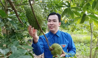 Phó trưởng Công an xã khởi nghiệp thành công với trà đặc sản 