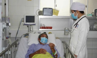 Bộ Y tế cảnh báo gì sau 3 trường hợp ngộ độc cá nóc ở Cần Thơ?