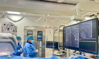 Mỗi năm, có khoảng 200.000 người Việt tử vong vì bệnh tim mạch