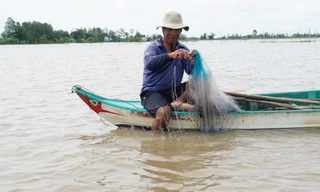 Đỉnh lũ ở miền Tây sẽ về cuối tháng 9