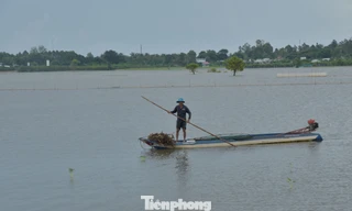 Đồng bằng sông Cửu Long trước câu hỏi: Ở lại hay di cư?