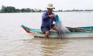 Đỉnh lũ ở miền Tây sẽ về cuối tháng 9