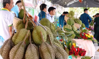 Chất lượng sầu riêng miền Tây không thua kém Thái Lan, vấn đề ở Cadimi 