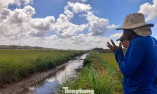 Xâm nhập mặn bắt đầu ‘tấn công’ Đồng bằng sông Cửu Long