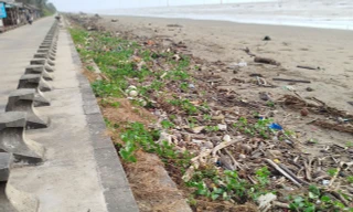 Nhếch nhác khu du lịch Ba Động nổi tiếng