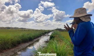 Xâm nhập mặn bắt đầu ‘tấn công’ Đồng bằng sông Cửu Long