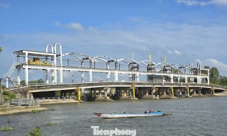 Xâm nhập mặn lấn sâu 40-60km ở Đồng bằng sông Cửu Long