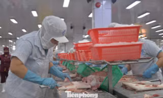 Cả vùng Đồng bằng sông Cửu Long chỉ có 24 tỷ USD vốn FDI