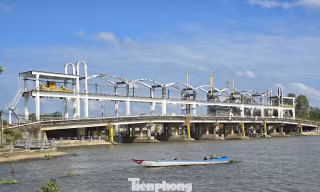 Xâm nhập mặn lấn sâu 40-60km ở Đồng bằng sông Cửu Long