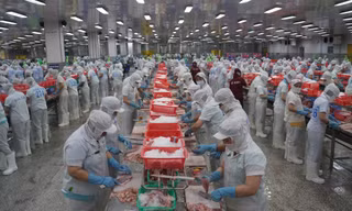 Đồng Tháp thưởng Tết cao nhất 300 triệu đồng/người