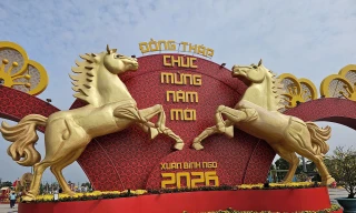 Linh vật ngựa độc đáo tại đường hoa Đồng Tháp