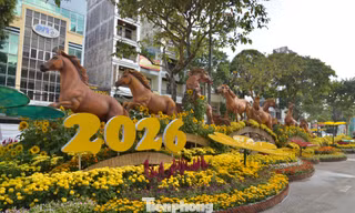 Linh vật ngựa tại đường hoa Xuân ở Cần Thơ 2026 dần hé lộ