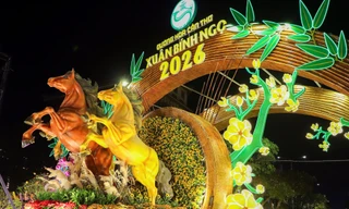 Tam mã phi nước đại nổi bật tại đường hoa xuân Cần Thơ