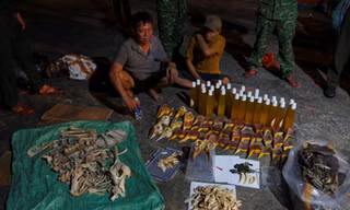 Phát hiện hơn 7 tấn hàng hóa nghi vảy tê tê, da trăn, động vật quý hiếm
