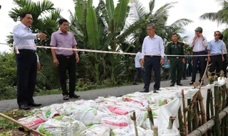 Vĩnh Long: 9 điểm sạt lở đặc biệt nguy hiểm trên tuyến đê bao ven sông Hậu
