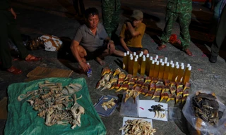 Phát hiện hơn 7 tấn hàng hóa nghi vảy tê tê, da trăn, động vật quý hiếm