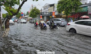 Biến đổi khí hậu gây thiệt hại hàng nghìn tỷ đồng cho người Cần Thơ