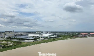 Nhận diện loạt thách thức môi trường ở Vĩnh Long