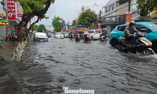 Một thành phố của Nhật Bản hỗ trợ Cần Thơ chống ngập