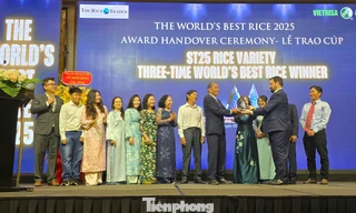 Gạo ST25 của Việt Nam xứng đáng ngon nhất thế giới