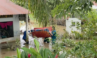 Vỡ đê bao tại cồn du lịch nổi tiếng Cần Thơ