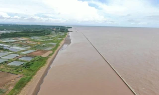 Bờ biển Cần Thơ có sạt lở nguy hiểm dài hơn 23km
