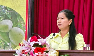 Nông dân trăn trở điệp khúc 'được mùa mất giá, được giá mất mùa'