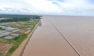 Bờ biển Cần Thơ có sạt lở nguy hiểm dài hơn 23km