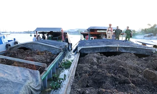 An Giang bắt giữ 7 tàu chở đất không có chứng từ hợp pháp