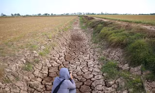 Xâm nhập mặn có thể vào sâu nhất 70km ở ĐBSCL