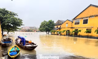 Mưa lũ khiến 8 người chết - mất tích, ngập lụt còn kéo dài